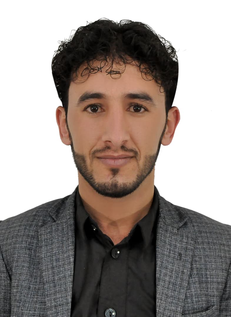 شبكة العنكبوت